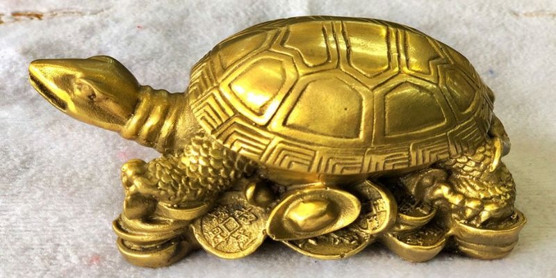  Các cặp số may mắn đến từ nằm mộng thấy kim quy