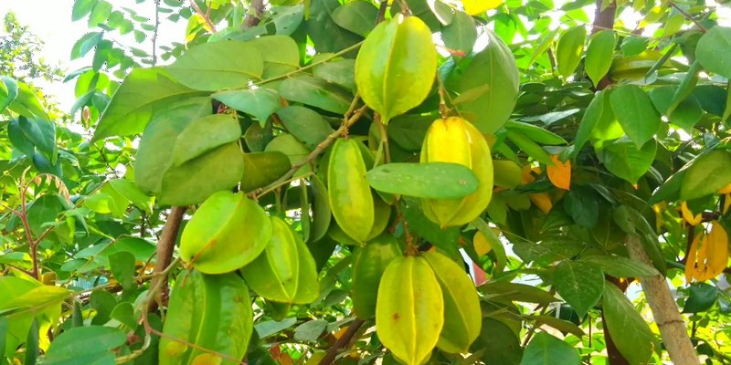 Các cặp số may mắn thay đổi vận mệnh trong phút chốc