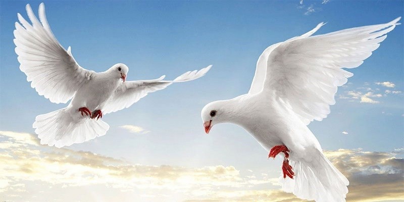 Hãy bước ra khỏi thế giới đen tối để tìm lại chính mình 