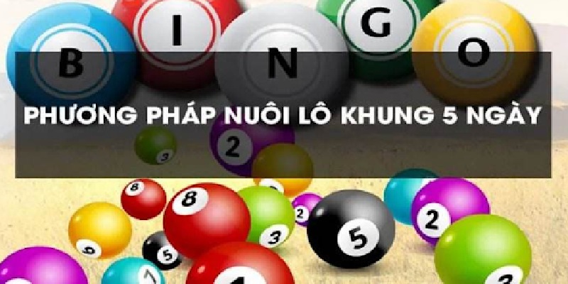 Hướng dẫn nuôi lô kép khung 5 ngày