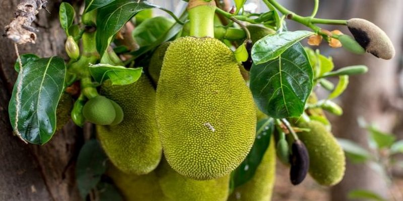 Những con số được giải mã từ giấc mơ cho bạn tham khảo