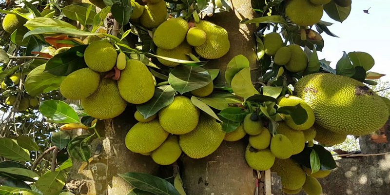  Những ước mơ hoài bão của bạn sắp thành hiện thực