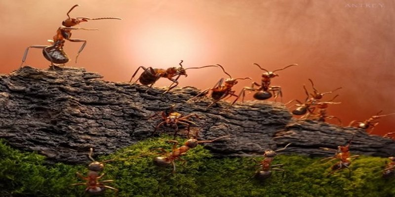 Thay đổi cuộc đời nhờ các con số đến từ giấc mơ