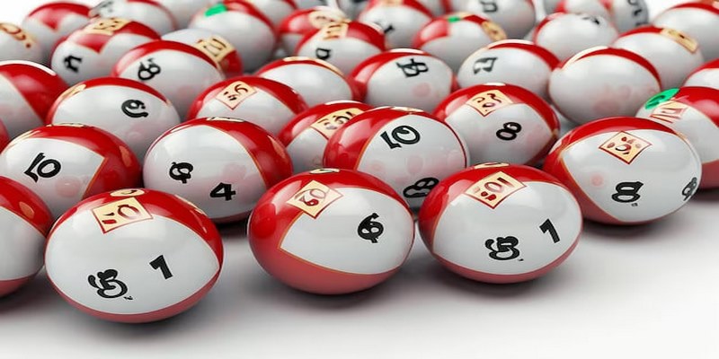 Tổng hợp cách nuôi lô kép khung 5 ngày hiệu quả