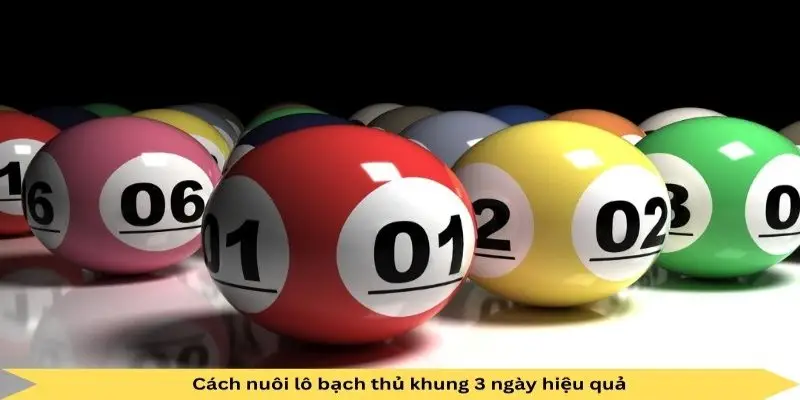 Cách nuôi lô khung 3 ngày hiệu quả theo bạch thủ đề