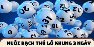 Cách nuôi lô khung theo cầu bạch thủ cực kỳ hiệu quả