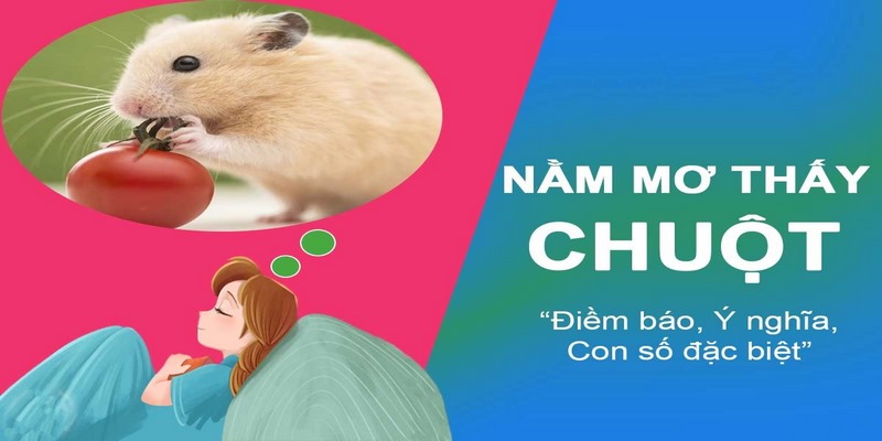 Nên đánh số nào khi mơ thấy chuột?
