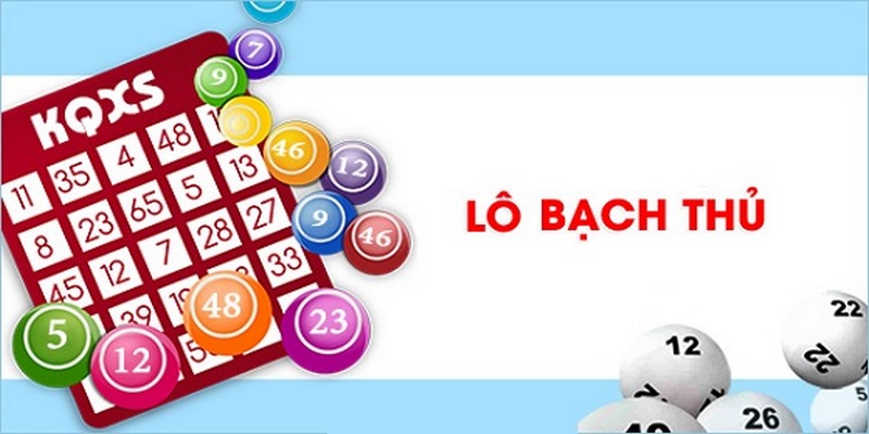 Lý do nhiều người chọn nuôi bạch thủ lô khung 2 ngày?