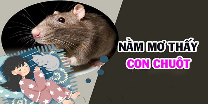 Hàm ý trong giấc mơ thấy chuột