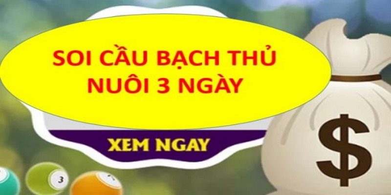 Ưu & nhược điểm khi chơi bạch thủ lô khung 3 ngày
