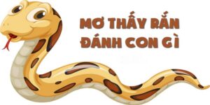 Chiêm Bao Thấy Rắn Ý Nghĩa Gì? Đi Tìm Con Số Trúng Độc Đắc