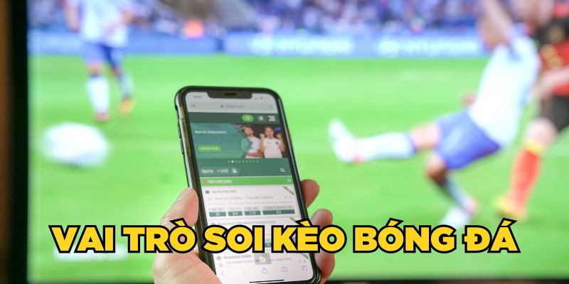 Vai trò soi kèo bóng đá