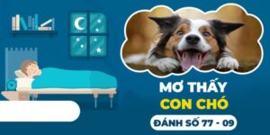 Mơ Thấy Chó Đánh Con Gì & Giải Mã Ý Nghĩa Tốt, Xấu Giấc Mơ