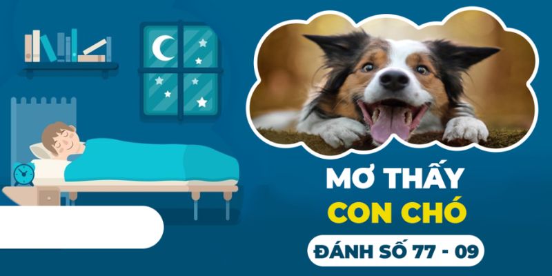 Mơ Thấy Chó Đánh Con Gì & Giải Mã Ý Nghĩa Tốt, Xấu Giấc Mơ