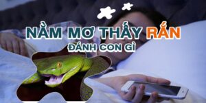 Mơ Thấy Rắn Đánh Con Gì? Phân Tích Ý Nghĩa Điềm Xấu, Tốt