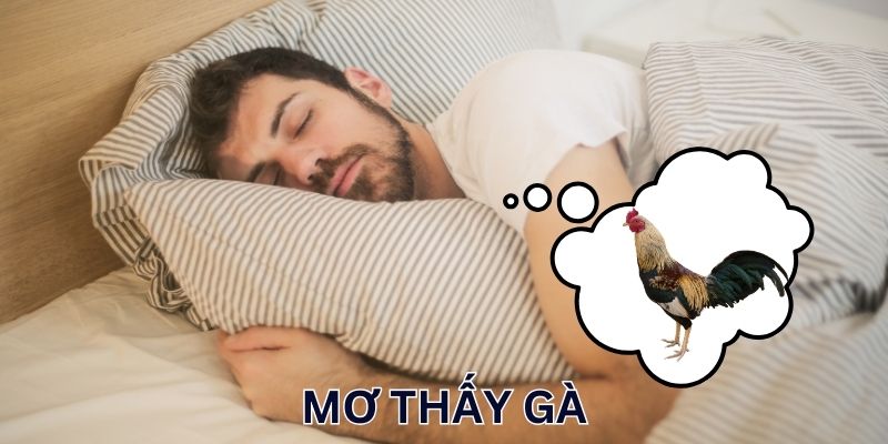 Ngủ mộng gặp gà mái