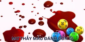 Mơ Thấy Máu Đánh Con Gì? Bắt Số Đẹp Sinh Lời Khủng