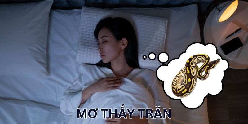 Nằm mơ thấy trăn đầu tư cặp lô mấy sinh lời?