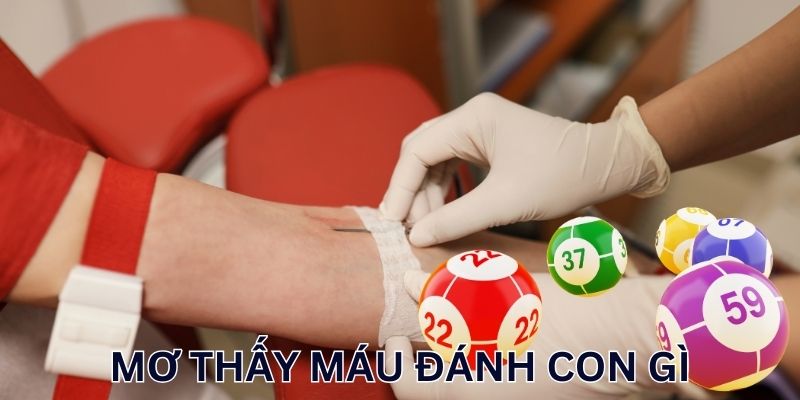 Mơ thấy máu đánh con gì đi tìm con số đẹp
