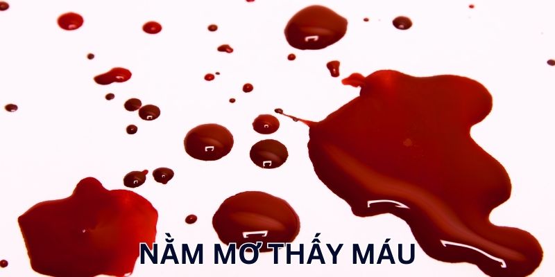 Nằm mơ thấy máu đánh lô mấy hốt tiền?