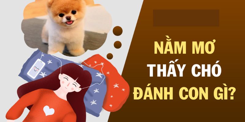 Giải mã giấc mơ thấy chó theo góc nhìn chuyên gia