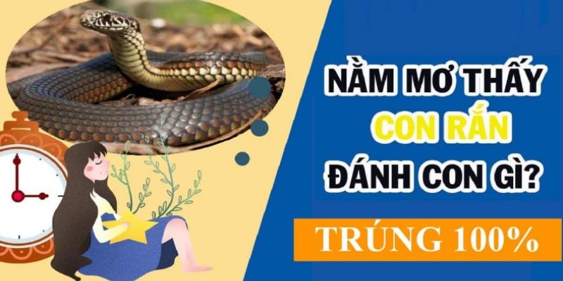 Nằm mê rắn cắn vào tay