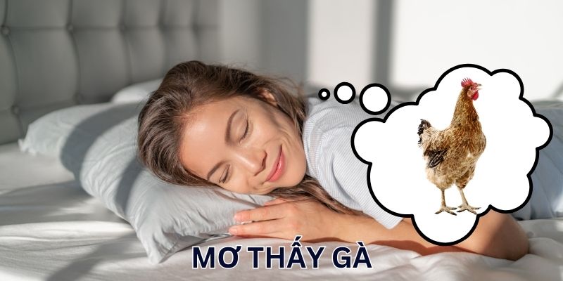 Ngủ mơ thấy gà là dấu hiệu gì?