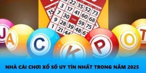 Bao Lô 2 Con - Bí Kíp Làm Giàu Từ Đam Mê Xổ Số