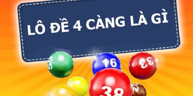Giới thiệu sơ lược về lô 4 càng