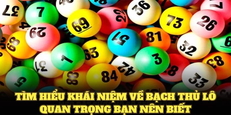 Bạch thủ lô là gì?