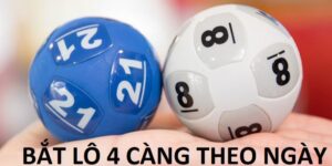 Lô 4 Càng Là Gì? - Bí Kíp Soi Cầu Hiệu Quả Từ Kqxsfb88