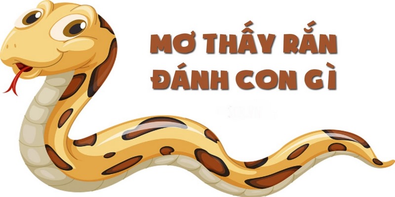 Ý nghĩa từng giấc mơ thấy rắn và con số may mắn nhất