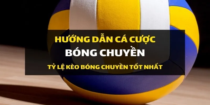 Cách soi kèo bóng chuyền xác suất thắng đến 99%