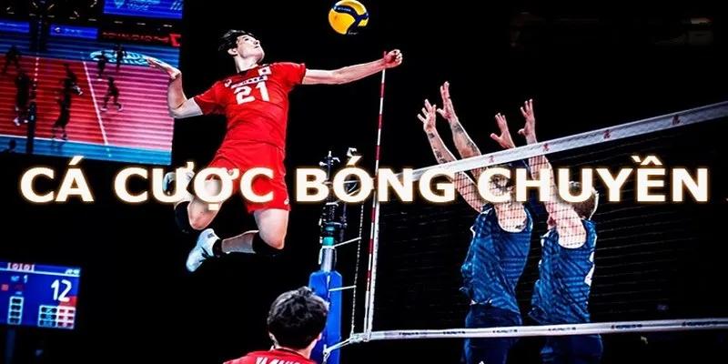 Tìm hiểu về bộ môn bóng chuyền