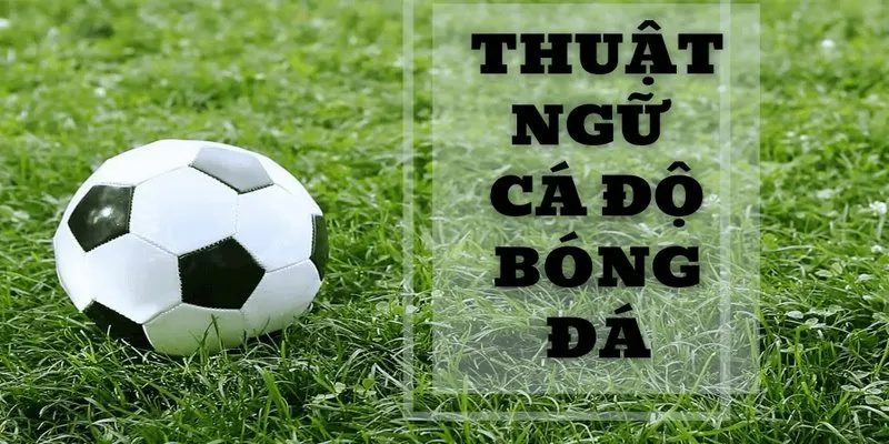 Thuật ngữ bóng đá cơ bản bắt đầu bằng chữ B