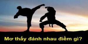 Giải Mã Giấc Mơ Đánh Nhau: Chuyên Gia Gợi Ý Số May Mắn
