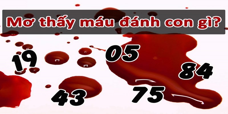 Luận số đẹp chính xác khi chiêm bao thấy máu